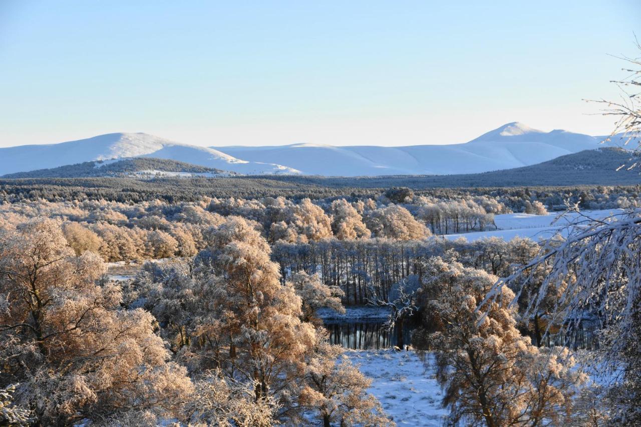 Brooklynn Guest House Grantown-on-Spey Dış mekan fotoğraf